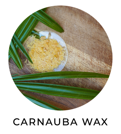 Carnauba wax, a natural ingredient used in cosmetics and NobuLash Mascara